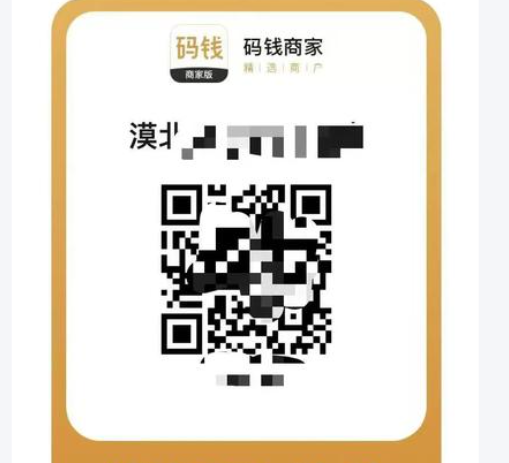 小微商户适合申请哪些商家收款码?